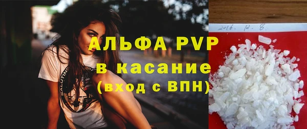 индика Новодвинск
