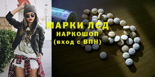 PSILOCYBIN Новозыбков