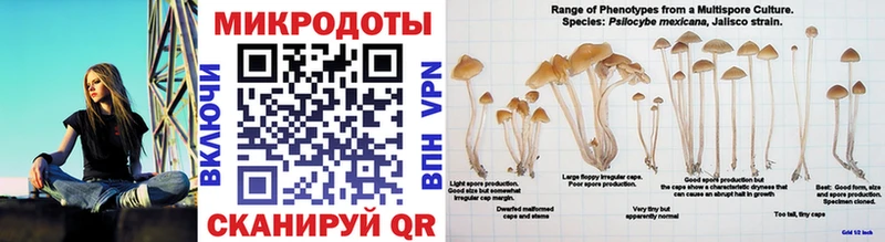 Галлюциногенные грибы Cubensis  Медынь 